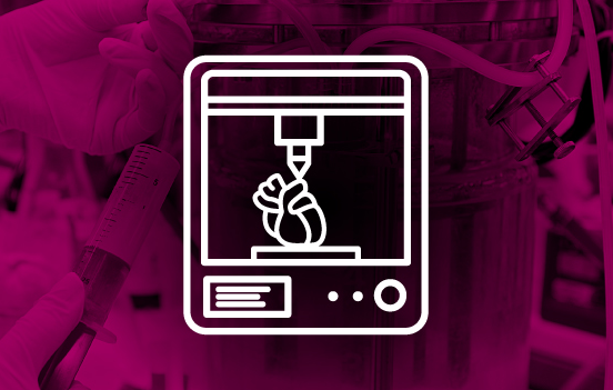 Bioreactor for 3D bioprinted vessels